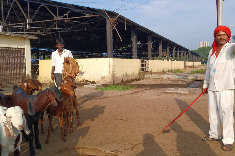 Bombay: Visita guiada al Matadero de Deonar