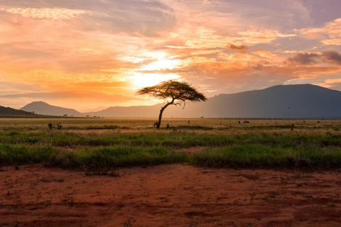 3 days mikumi and masai culture