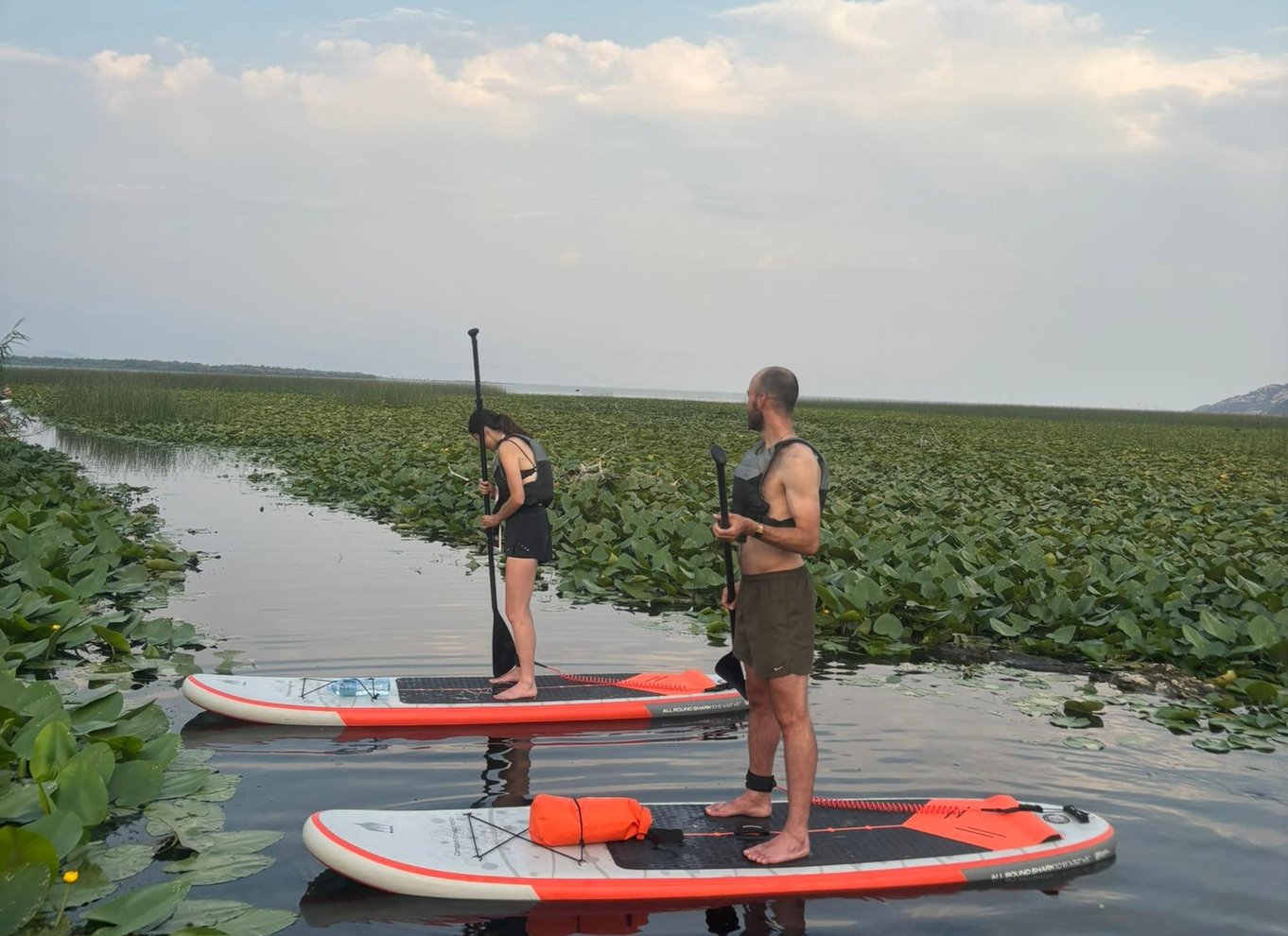 Virpazar: Udforsk den fantastiske Skadarsø på paddleboard