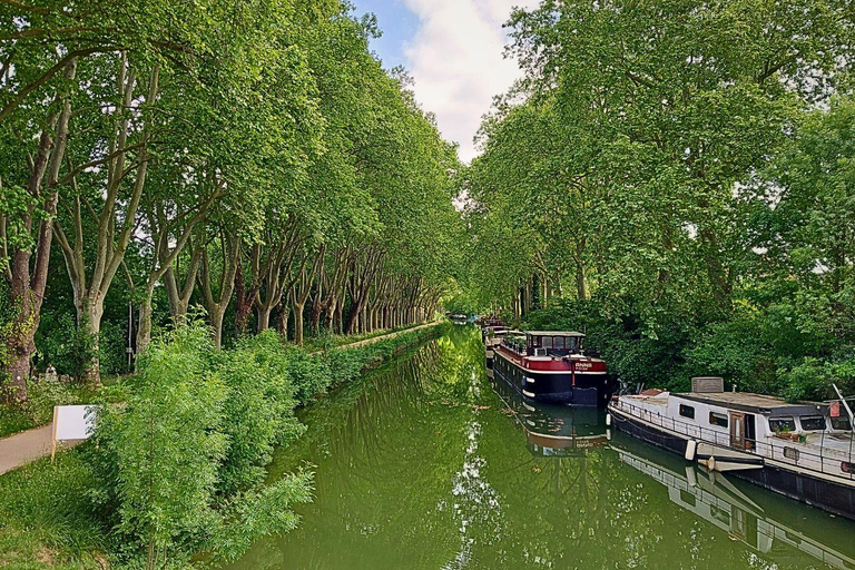 Panoramic Toulouse, e-bike ride, and cable car