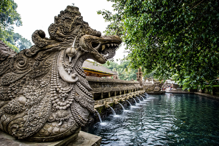 Ubud: Tirta Empul Temple Melukat Ritual & Coffee Tour