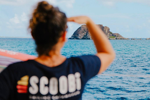 Half Day around the St Martin marine reserve