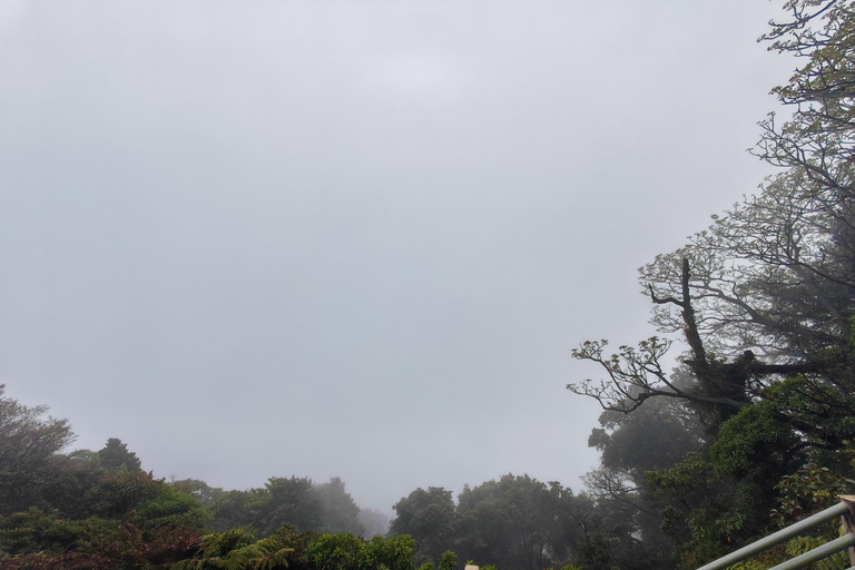 Poás Volcano: Day Tour + Breakfast & Starbucks Coffee Farm