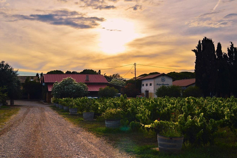 Katakolon: Olympia & Kaiafa Beach Tour with Photos