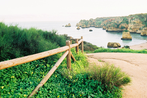 卡沃埃罗、阿尔加塞科和费拉古杜 - 巴士之旅卡尔沃埃罗、阿尔加塞科和费拉古杜——巴士之旅