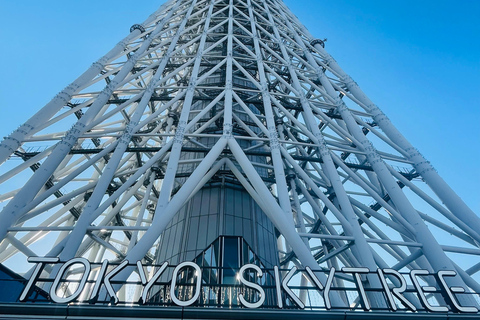 Tokyo Private Luxury City Tour with Professional Guide