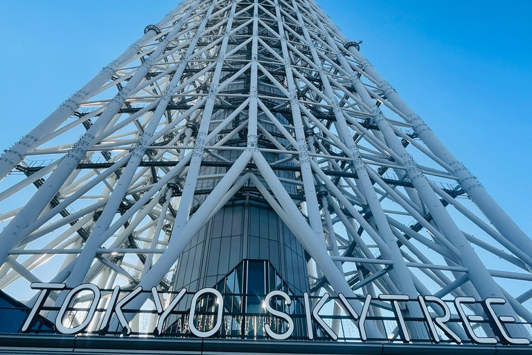 Tokyo Private Luxury City Tour with Professional Guide