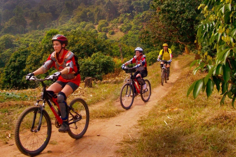 Chiang Mai: Doi Suthep National Park Hike & Mountain Bike