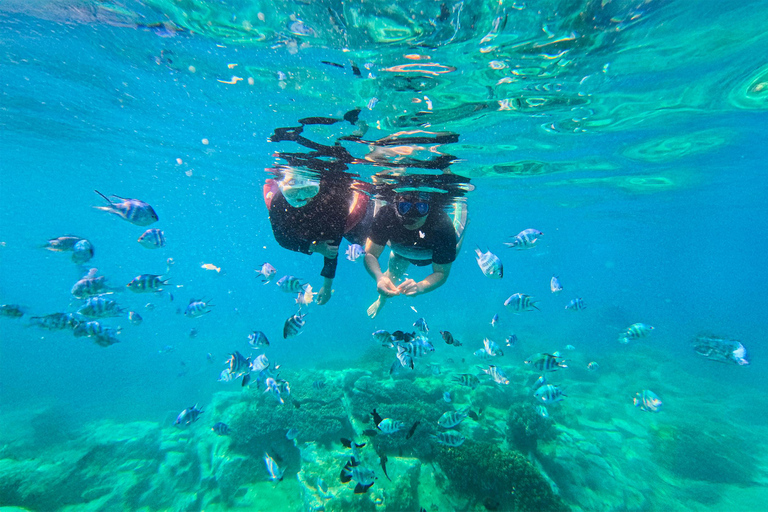 Nha Trang: Aventura de mergulho com snorkel de meio dia com churrasco a bordoExperiências de excursão e banho de lama