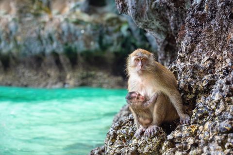 From Phuket: Phi Phi Islands, Maya Bay & Khai Islands Tour Without Transfer