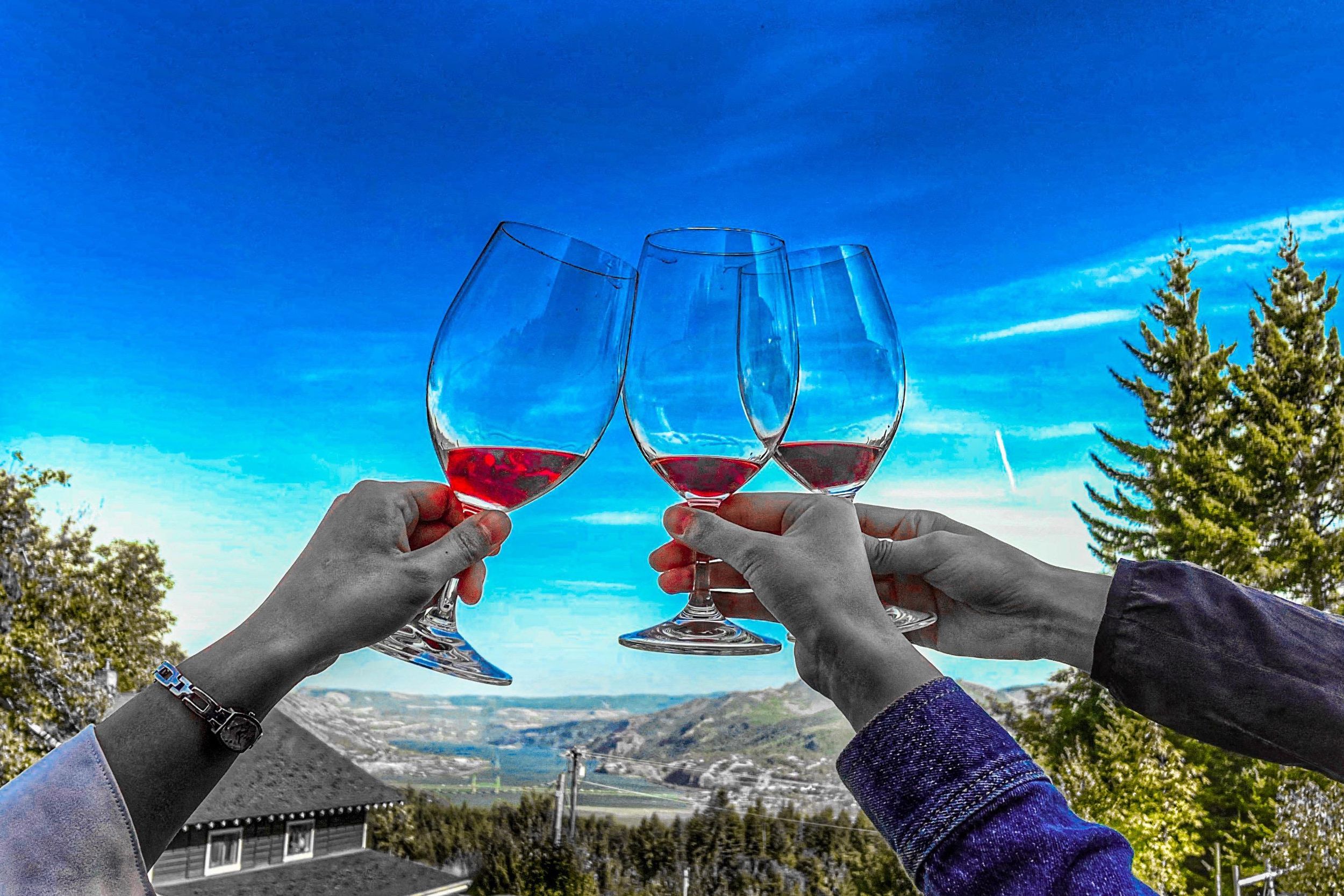 Von Portland aus: Wasserfälle, Mt. Hood und Wein Tagestour