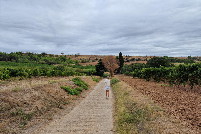 Alt emporda wine tasting with breakfast and lunch