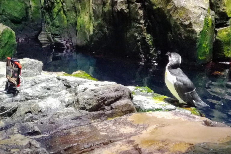 Półdniowa wycieczka po Lizbonie z prywatną wycieczką łodzią i Oceanarium