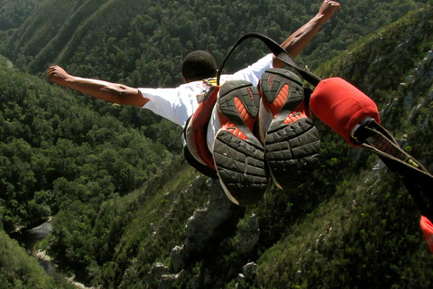 Da Città del Capo: 3 giorni di Garden Route e safari in 4x4Tour di gruppo condiviso con soggiorno in ostello con dormitorio condiviso