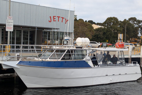 Perth: Rottnest Island Scuba Diving Day Trip