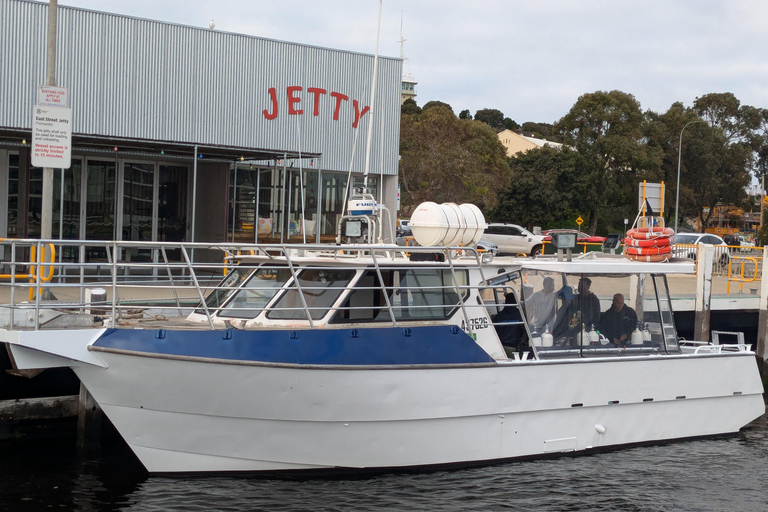 Perth Excursión de un día para bucear en la Isla Rottnest