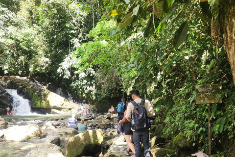 Medellín: Río Claro Rafting and Adventure Day Trip