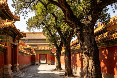 2-Hour Forbidden City Tour History & HighlightsPrivate/Group Package 2: 2-Hour Private Forbidden City Tour