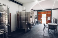 Wine tour in a family winery in Tuscany - Housity