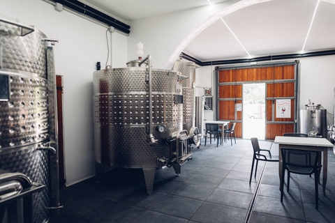 Tour del vino in una cantina familiare in Toscana