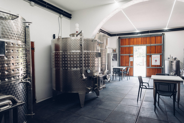 Tour del vino in una cantina familiare in Toscana