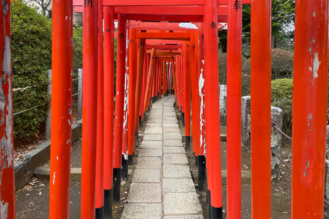 Tokyo: Yanesen, Nedu Shrine, and the Tokyo University Tour