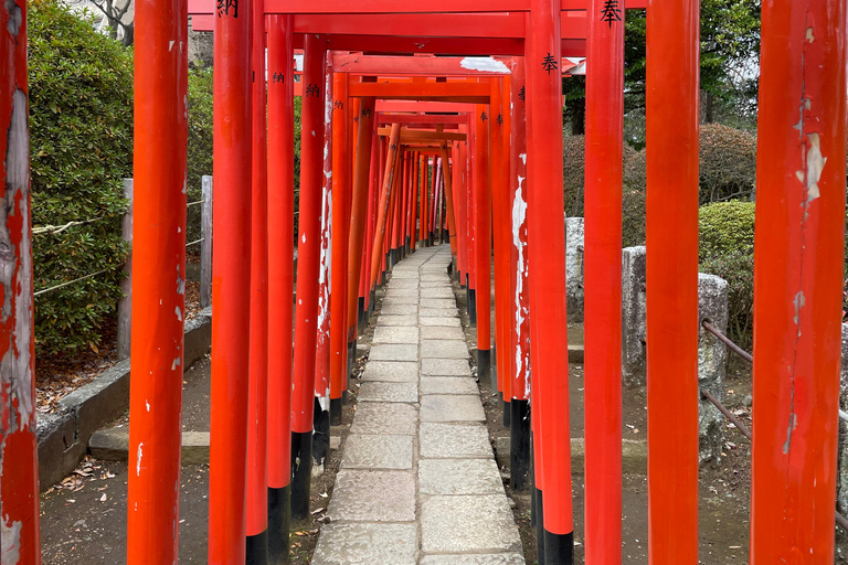 Tokyo: Yanesen, Nedu Shrine, and the Tokyo University Tour