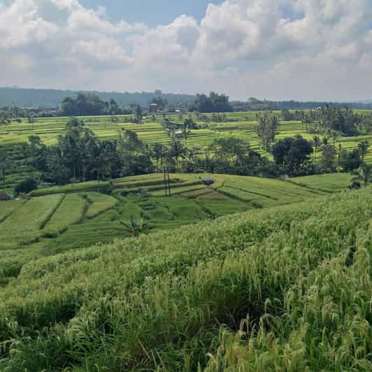 Bali : excursion d'une journée aux rizières en terrasses de Jatiluwih, au temple et aux sources chaudes