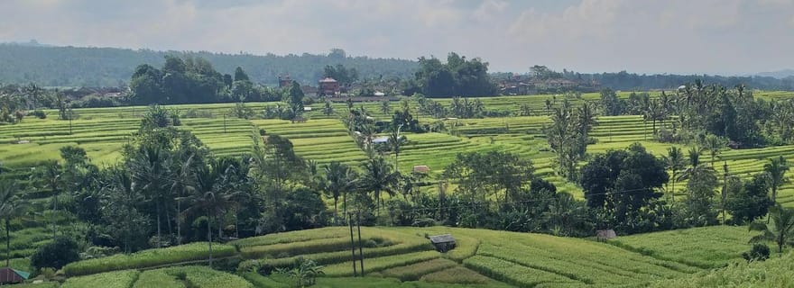 Bali : excursion d'une journée aux rizières en terrasses de Jatiluwih, au temple et aux sources chaudes