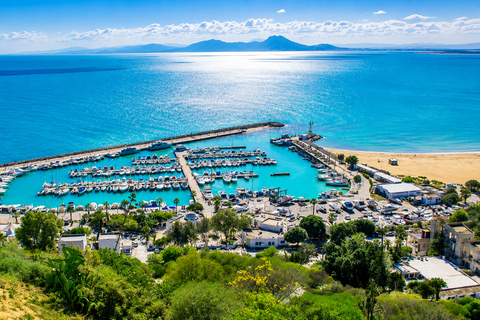 Sidi Bou Said, Carthage, Bardo, Medina Day Trip from Monastir or Sousse without a live guide, the driver is your traveling companion