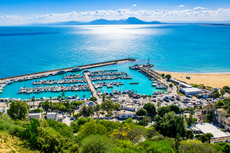 Sidi Bou Said, Carthage, Bardo, Medina Day Trip from Monastir or Sousse without a live guide, the driver is your traveling companion