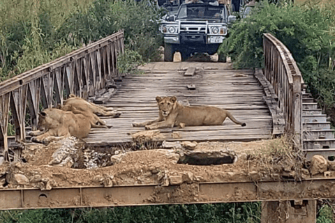 Von Sansibar: 3-tägige Selous-Safari, Bootstour &amp; Besuch bei den MaasaiAll-Inclusive: 3-Tages-Safari, Bootsfahrt und Busch-Wanderung