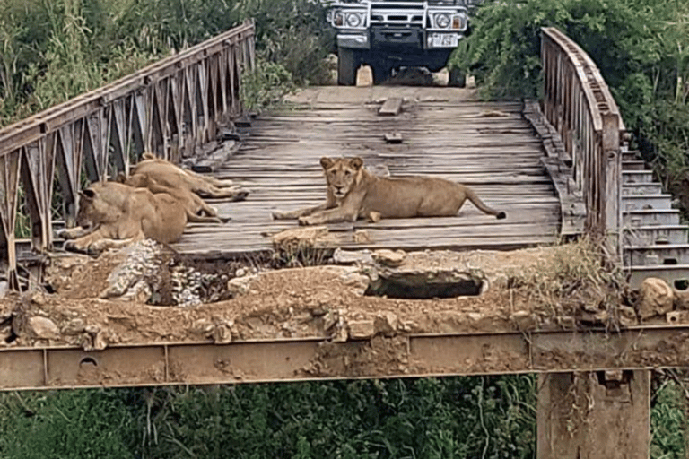 Von Sansibar: 3-tägige Selous-Safari, Bootstour &amp; Besuch bei den MaasaiAll-Inclusive: 3-Tages-Safari, Bootsfahrt und Busch-Wanderung