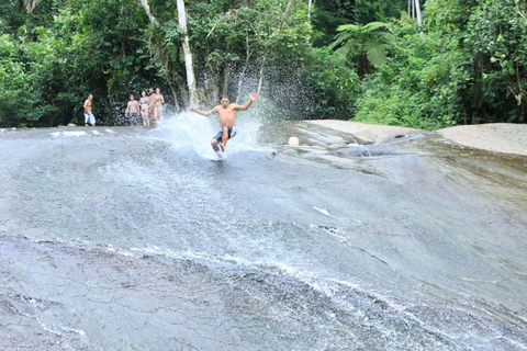 Naturaleza Inolvidable: Recorrido por la Selva de Tijuca y el Jardín Botánico