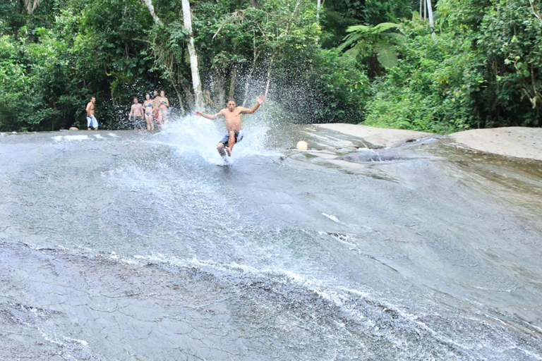 Naturaleza Inolvidable: Recorrido por la Selva de Tijuca y el Jardín Botánico