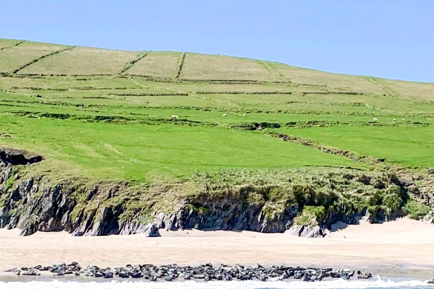 Dingle: Undur Blasketeyja Sjálfsleiðangur