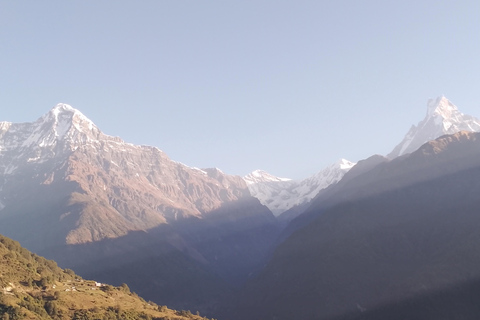 Pokhara: 7 Day Annapurna Base Camp Trek with Wildlife Tour