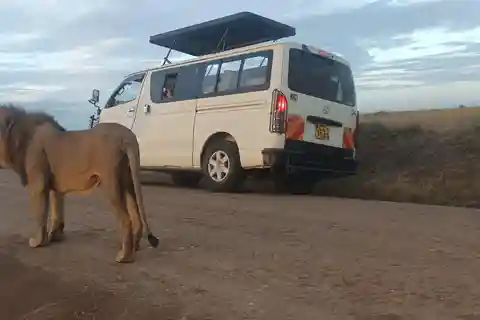 PARQUE NACIONAL DE NAIROBI À TARDE PASSEIO DE CARRO.