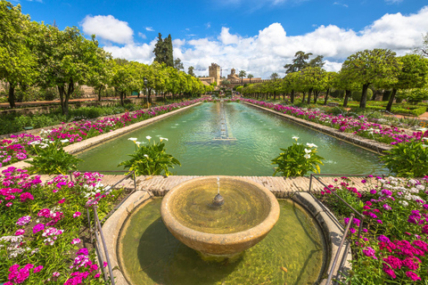 Seville: Alcázar Fast-Track Access with Guided Tour Private Guided Tour