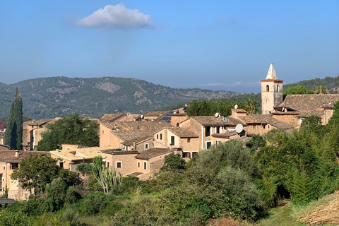 Ville de Fornalutx et randonnée vers les montagnes ferme d&#039;oliviers