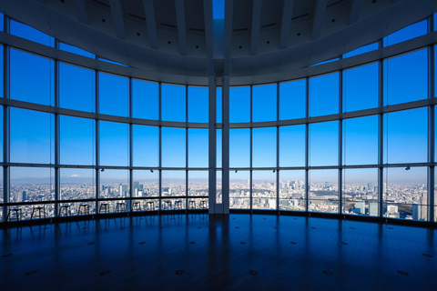 Tokyo: Roppongi Hills Observatory Ticket