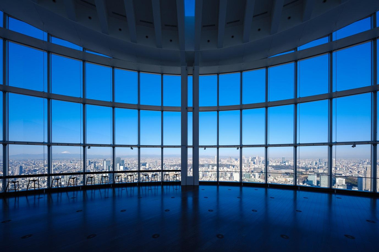 Roppongi Hills Observatory Tokyo: Biljett till Roppongi Hills observatoriumTokyo: Roppongi Hills Observatory biljett