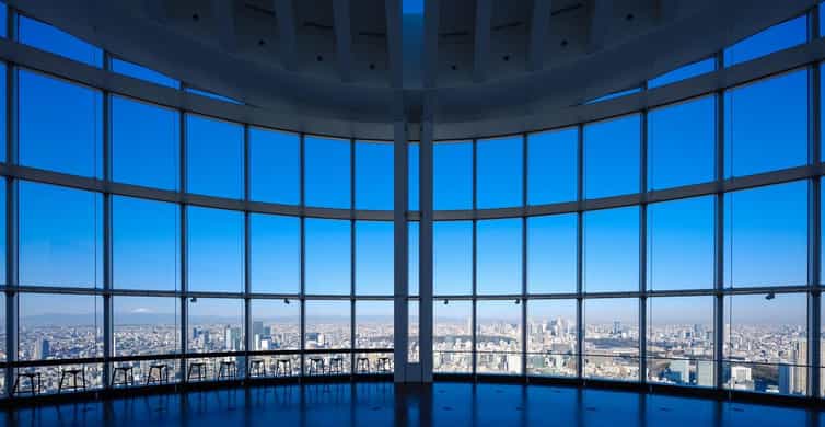 Tokyo: Roppongi Hills Observatory Ticket