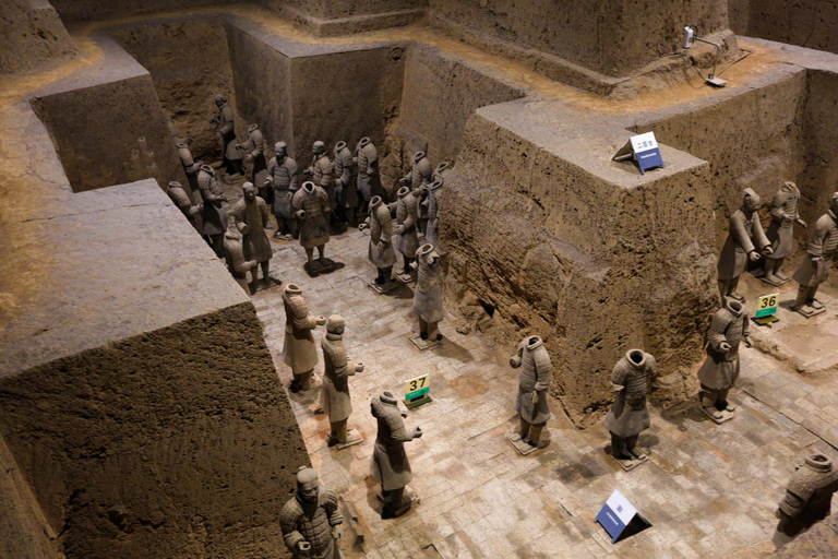Xi'an: Terracotta Army Mini Group or Private Tour 14-Person Group with Terracotta Entrance Meeting Point