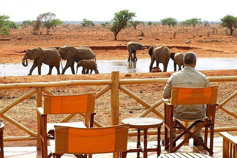 Mombasa: 5-Day Safari- Amboseli, SaltLick, Ziwani & Ngutuni