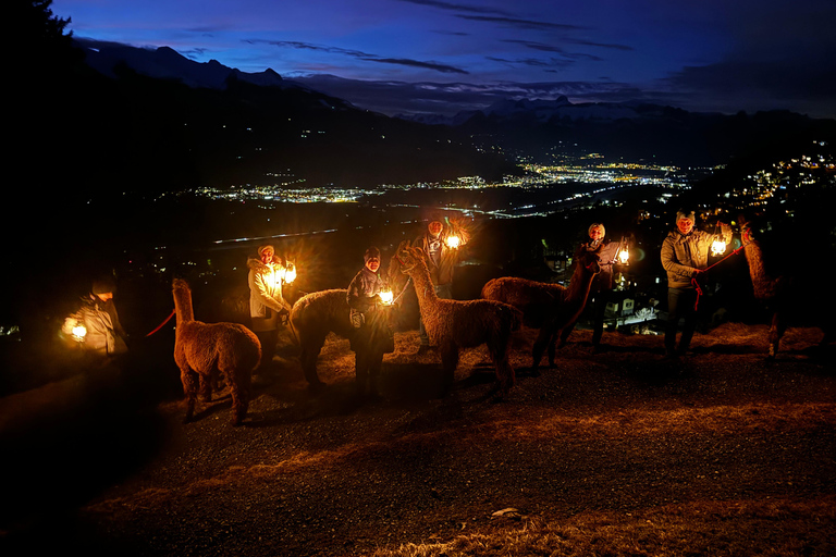 Triesenberg: Walking Tour with Llamas and Cheese Raclette
