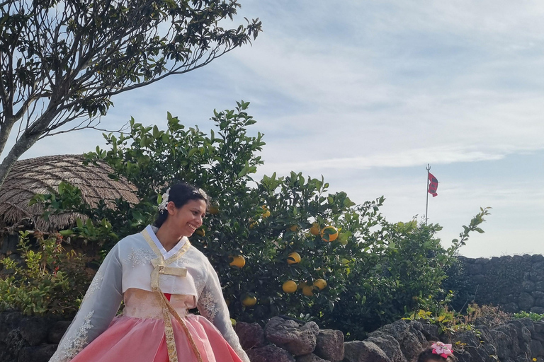 Jeju: Bespoke Sightseeing Tours with Licensed Tour Guide