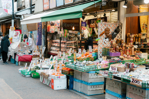 Old Tokyo: Yanaka & Nezu Shrine Guided Walking Tour