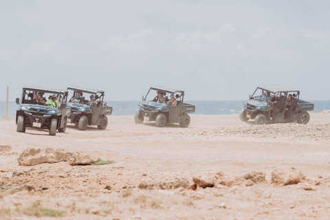 Aruba: UTV Off-Roading Tour and Swim at Arashi Beach