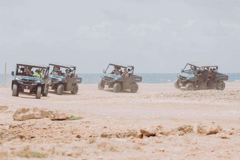 Aruba: UTV Off-Roading Tour and Swim at Arashi Beach